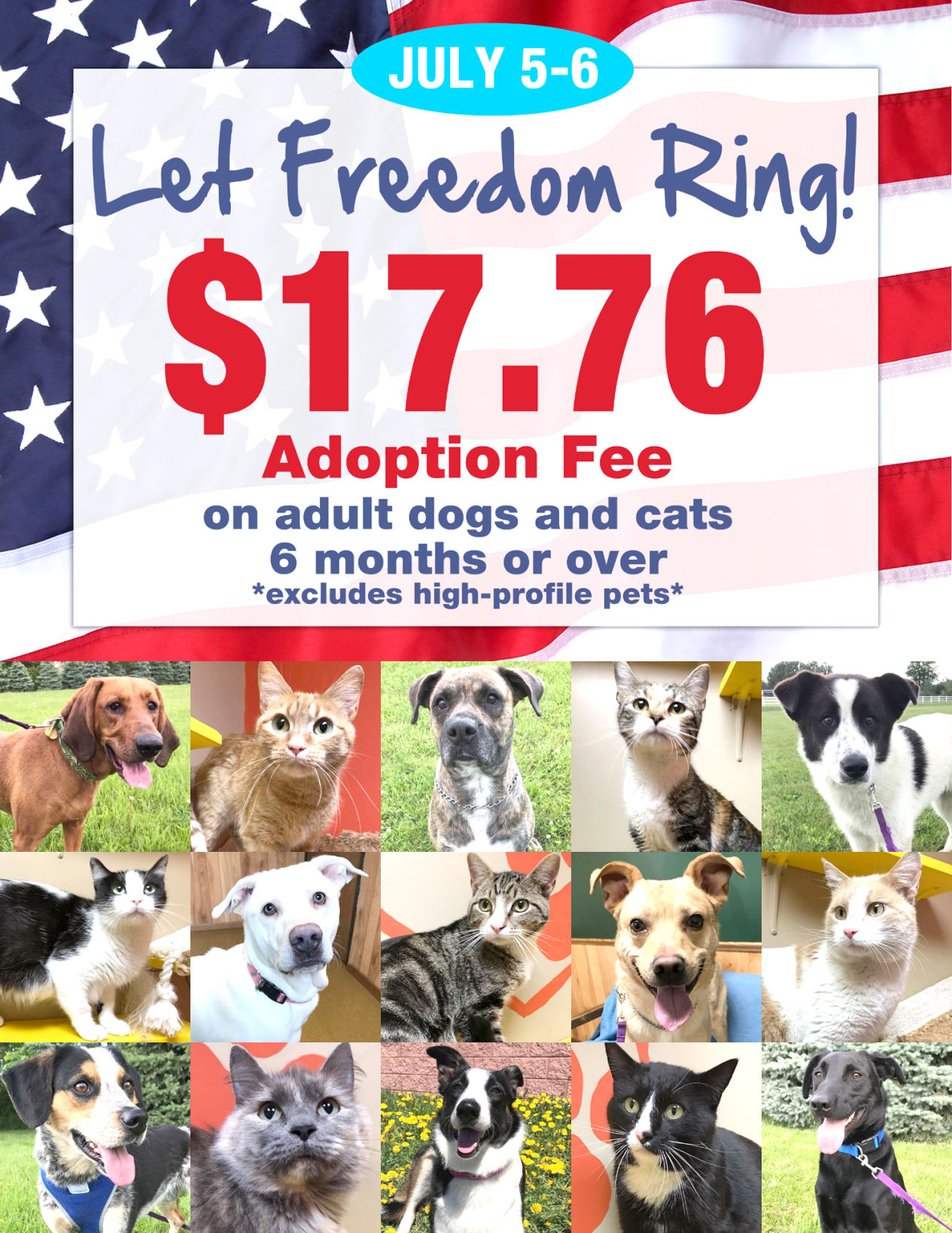 Briefs Adoption
